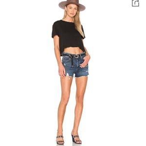 Agolde Parker Vintage cut off Shorts